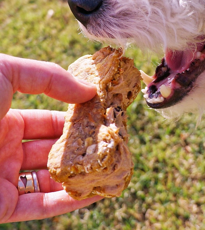 Dog Treats: Ice Cream Sandwiches