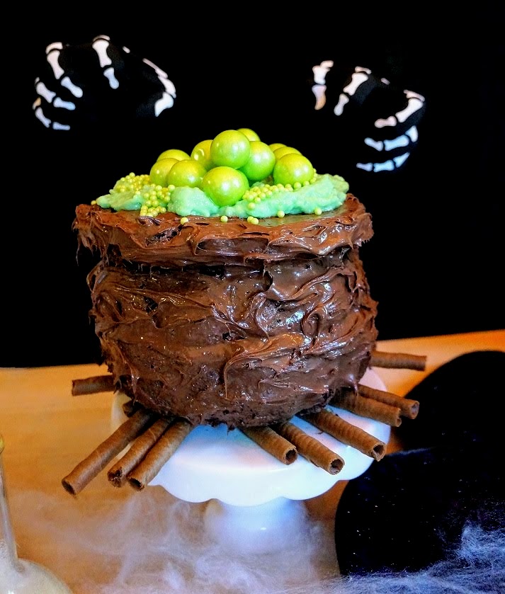 Chocolate Cauldron Cake