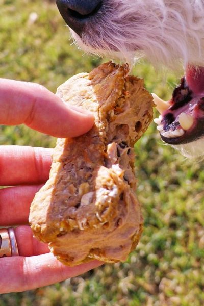 Dog Treats: Ice Cream Sandwiches